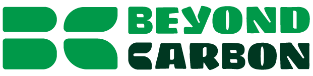 Beyond Carbon